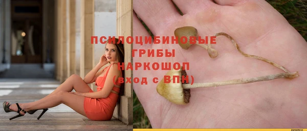 mix Карпинск