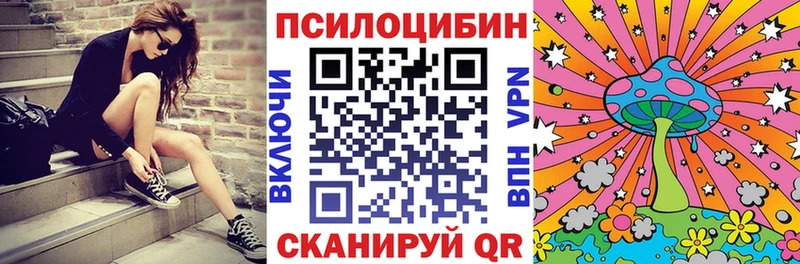 Купить где  Бологое  Псилоцибиновые грибы MAGIC MUSHROOMS 